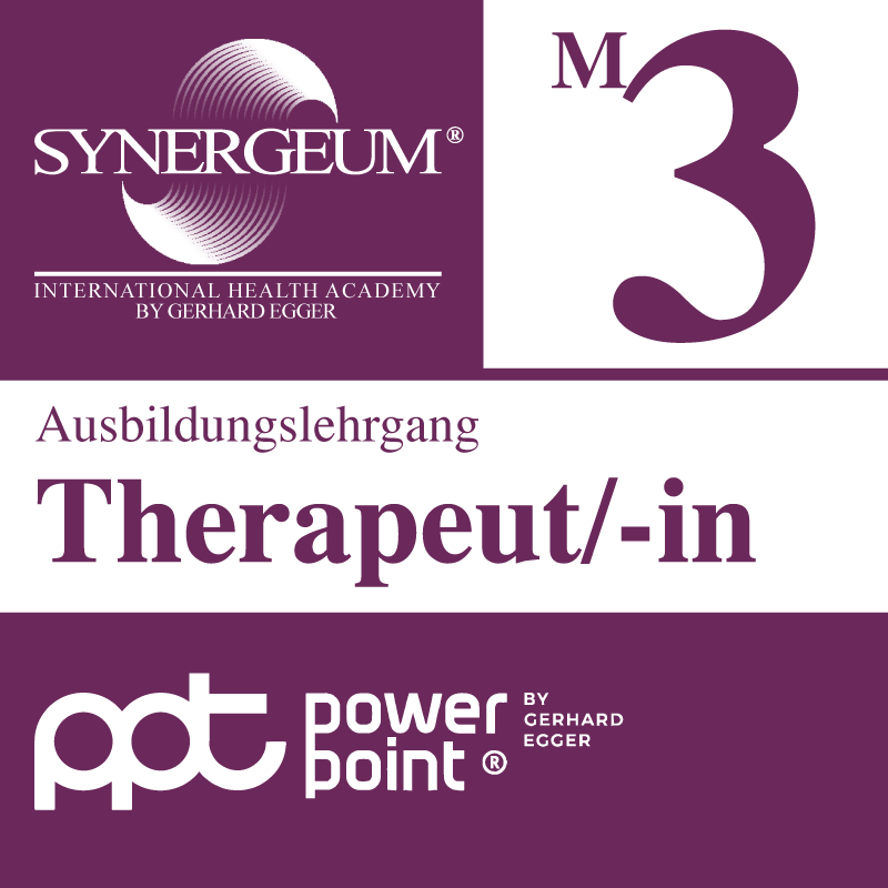 synergeum-ausbildung-t3